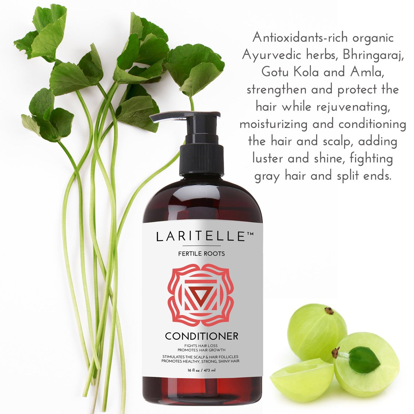 Organic Anti-Thinning Conditioner | Fortifying, Strengthening & Rejuvenating | Prevents Hair Loss and Shedding, Promotes New Hair Growth | Ayurvedic Herbs, Lavender, Ginger, Rosemary