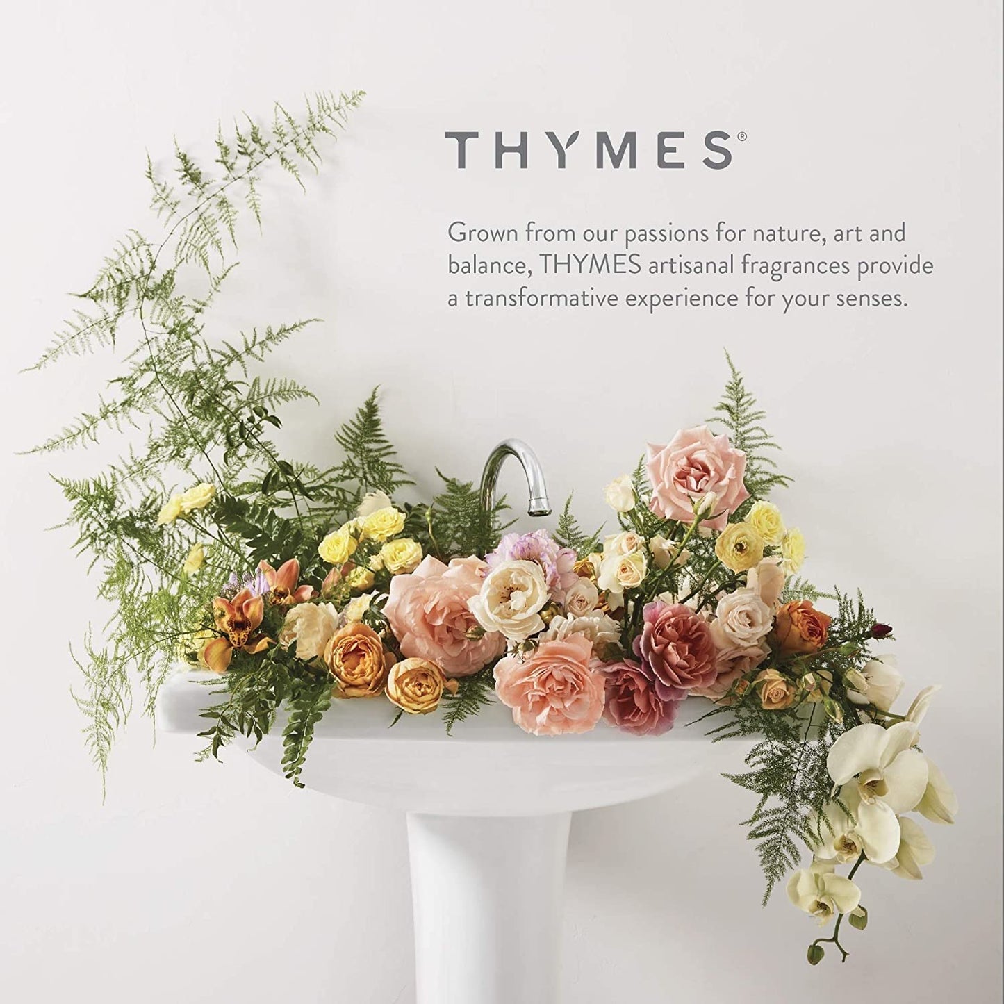 Thymes Body Lotion - 9.25 Fl Oz - Lavender